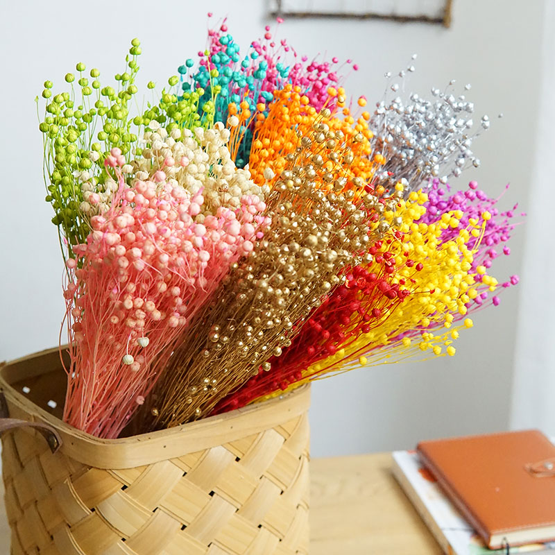 Dried Flower Bulk - 35g/보존된 오르모시아 호세이 천연 진짜 꽃