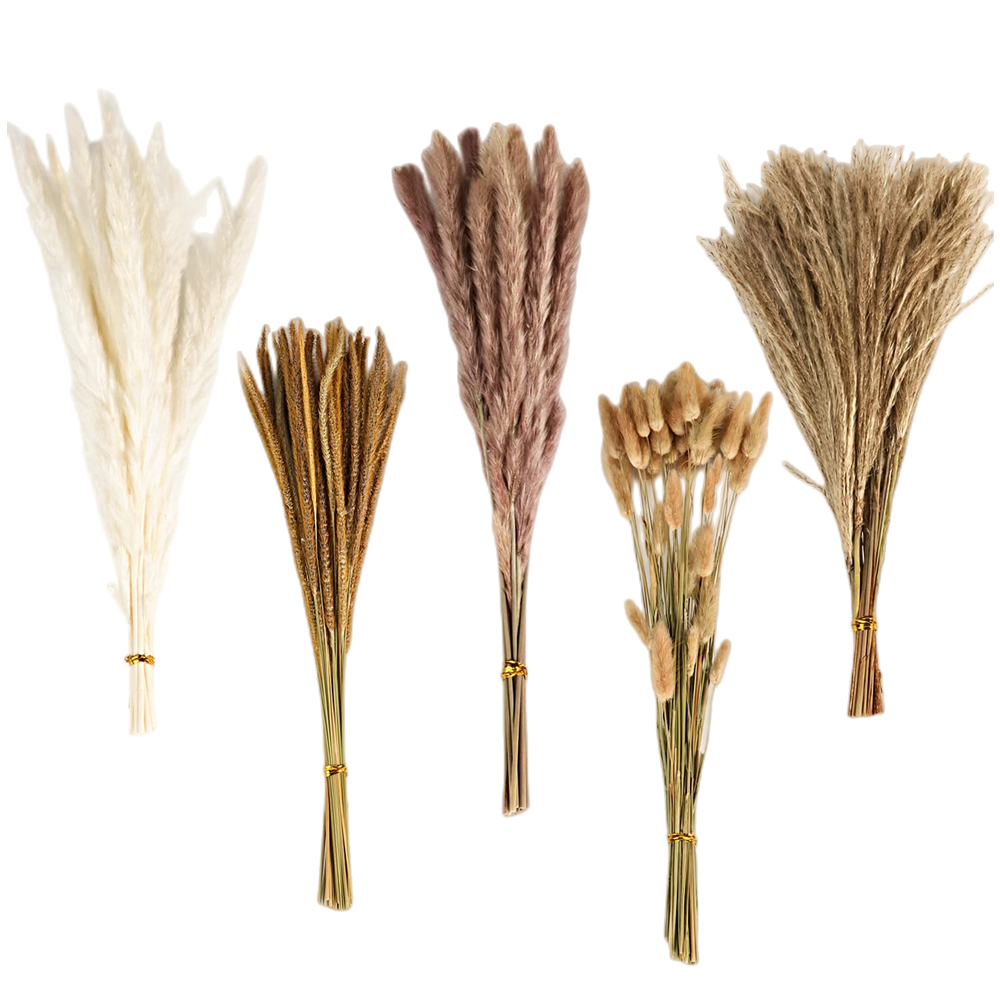 Dried Flower Bulk - 가을 빈티지 믹스 드라이플라워 부케, 팜파스그래스,