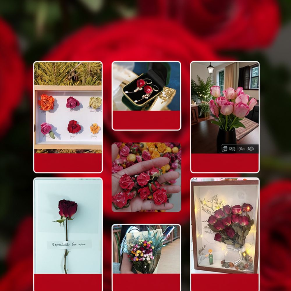 Flower Preservation Resin - 자연 건조된 장미 꽃다발, 버블 장미,