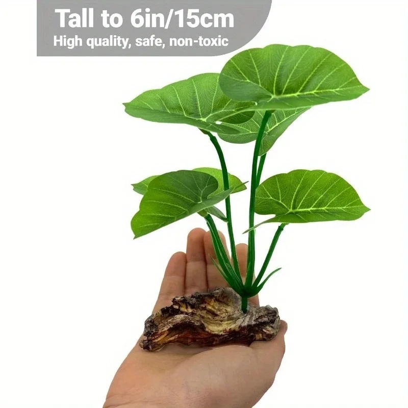1개 인공 수족관 식물 사실적인 떠다니는 잎 튼튼한 줄 - Terrarium Moss Art 리뷰 및 가격