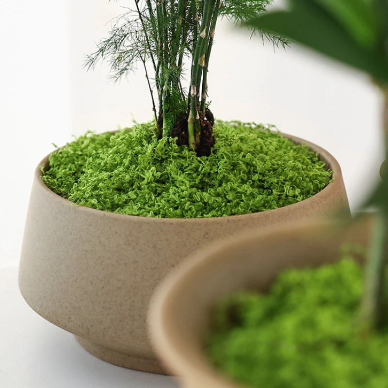1Pc 인공 이끼 잔디 매트 시뮬레이션 잔디 마이크로  - Terrarium Moss Art 리뷰 및 가격