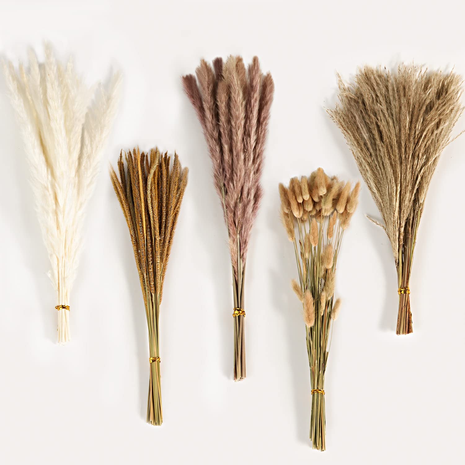 가을 빈티지 믹스 드라이플라워 부케, 팜파스그래스, 버 - Dried Flower Bulk 리뷰 및 가격