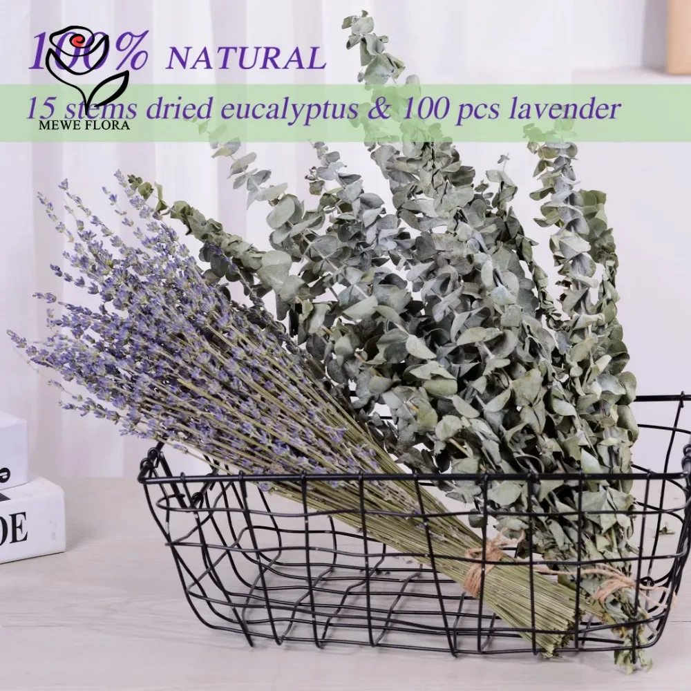 유칼립투스 잎 보존 건조 꽃, 홈 거실 장식, 인공 식 - Dried Flower Bulk 리뷰 및 가격