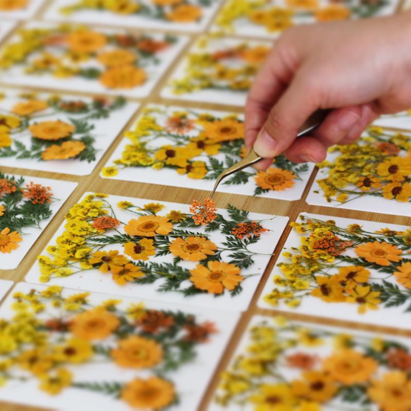 실제 천연 압축 건조 식물 꽃 DIY 공예 재료 네일  - Flower Preservation Resin 리뷰 및 가격