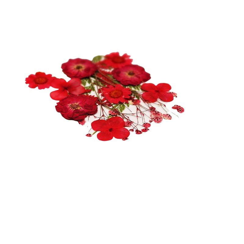 실제 천연 압축 건조 식물 꽃 DIY 공예 재료 네일  - Flower Preservation Resin 리뷰 및 가격