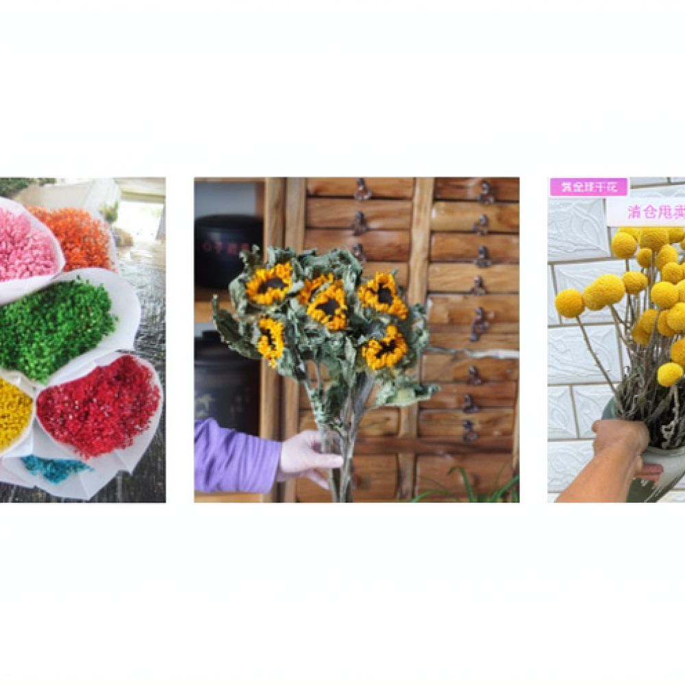 자연 건조된 장미 꽃다발, 버블 장미, 실제 식물, 보 - Flower Preservation Resin 리뷰 및 가격